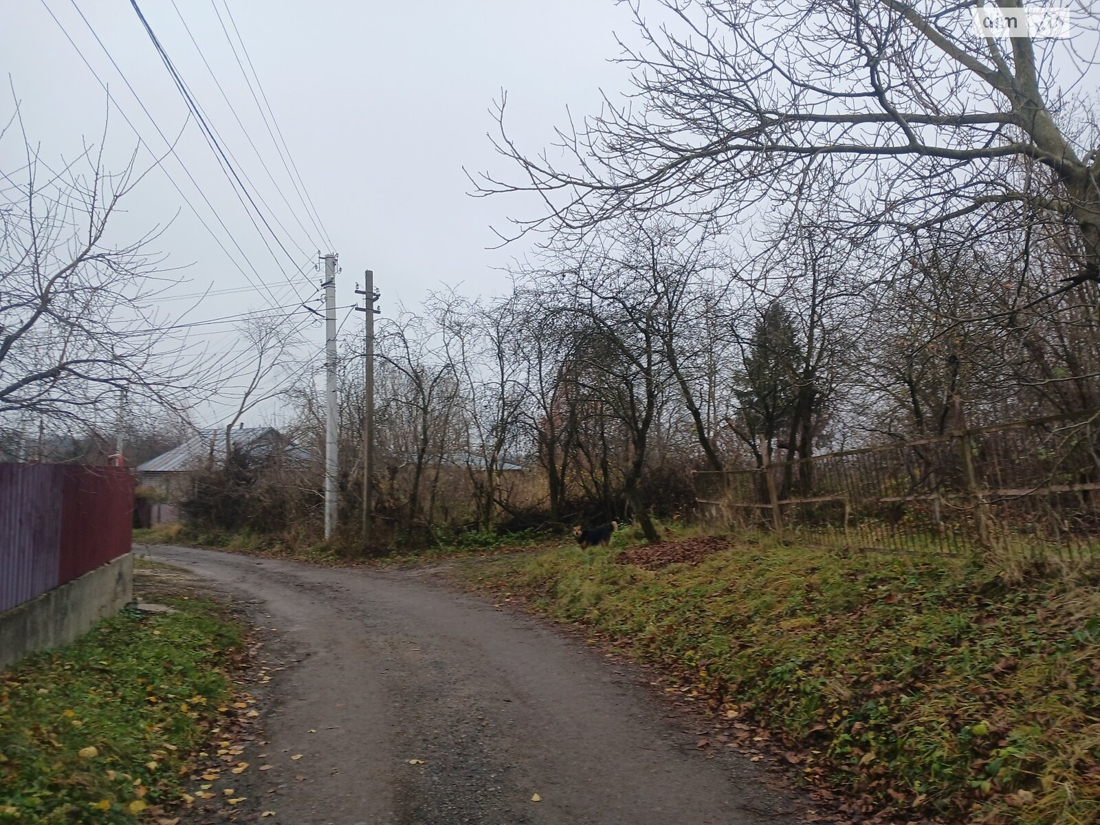 Земельный участок сельскохозяйственного назначения в Стуфчинцах, площадь 21.24 сотки фото 1