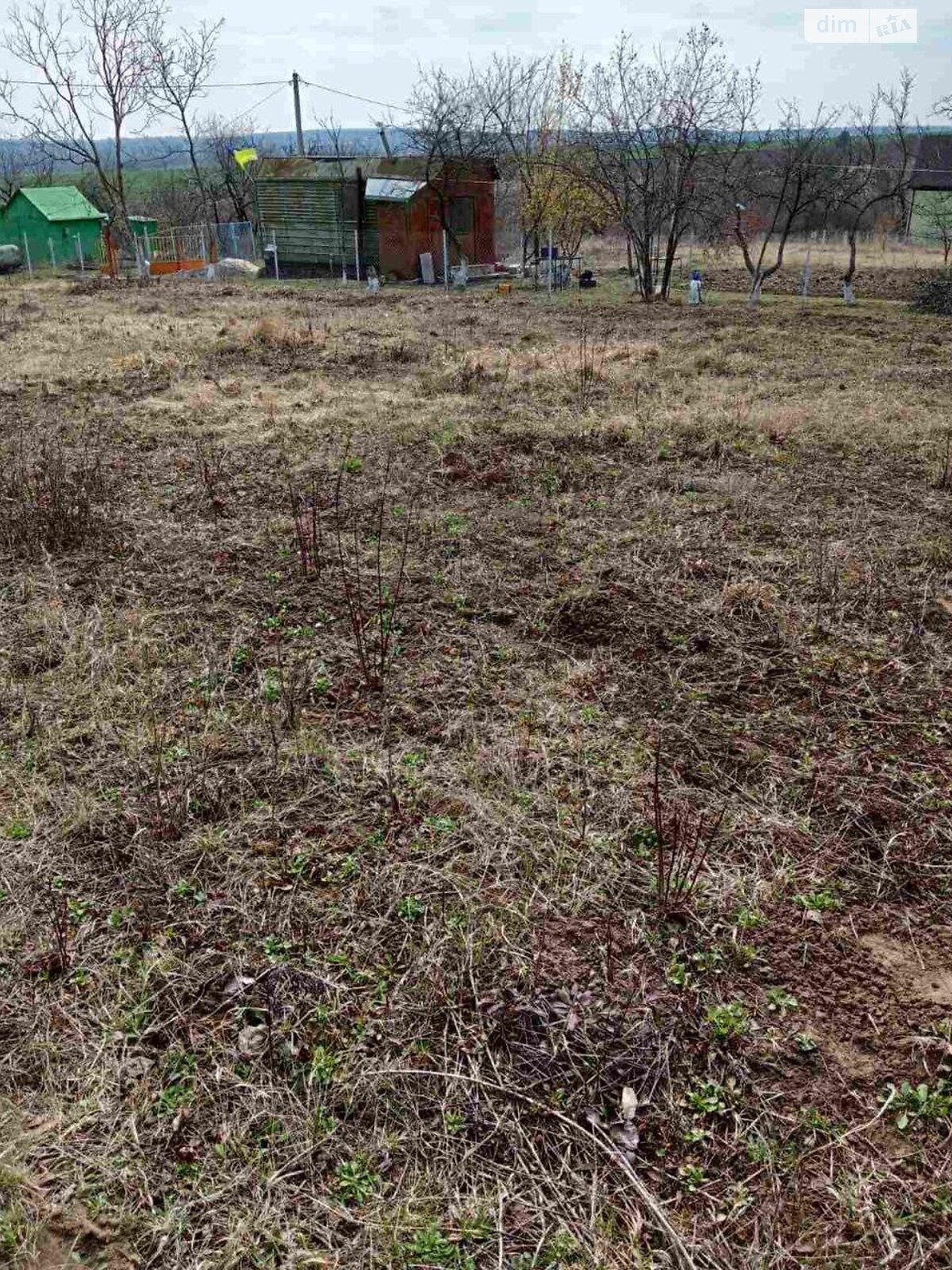 Земельна ділянка сільськогосподарського призначення в Стуфчинцях, площа 9 соток фото 1 Земельна ділянка сільськогосподарського призначення в Стуфчинцях, площа 9 соток фото 1