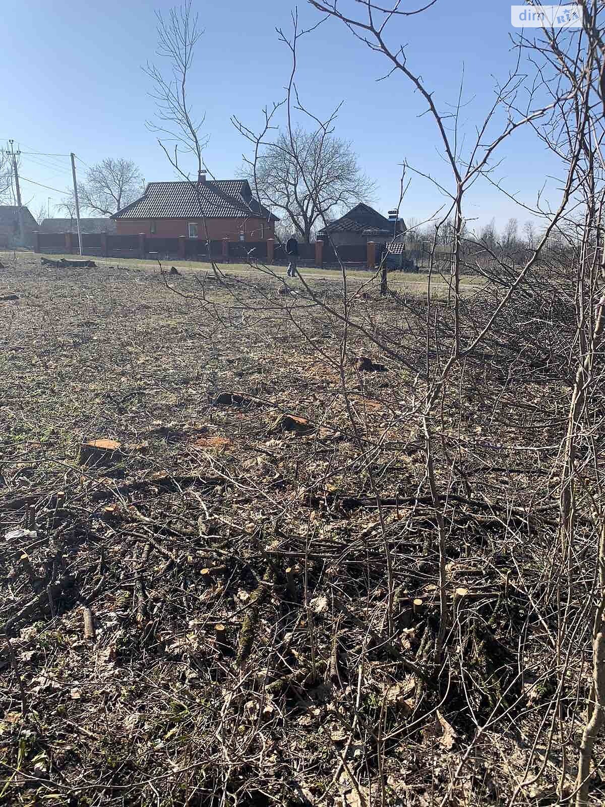 Земельна ділянка сільськогосподарського призначення в Стуфчинцях, площа 10 соток фото 1