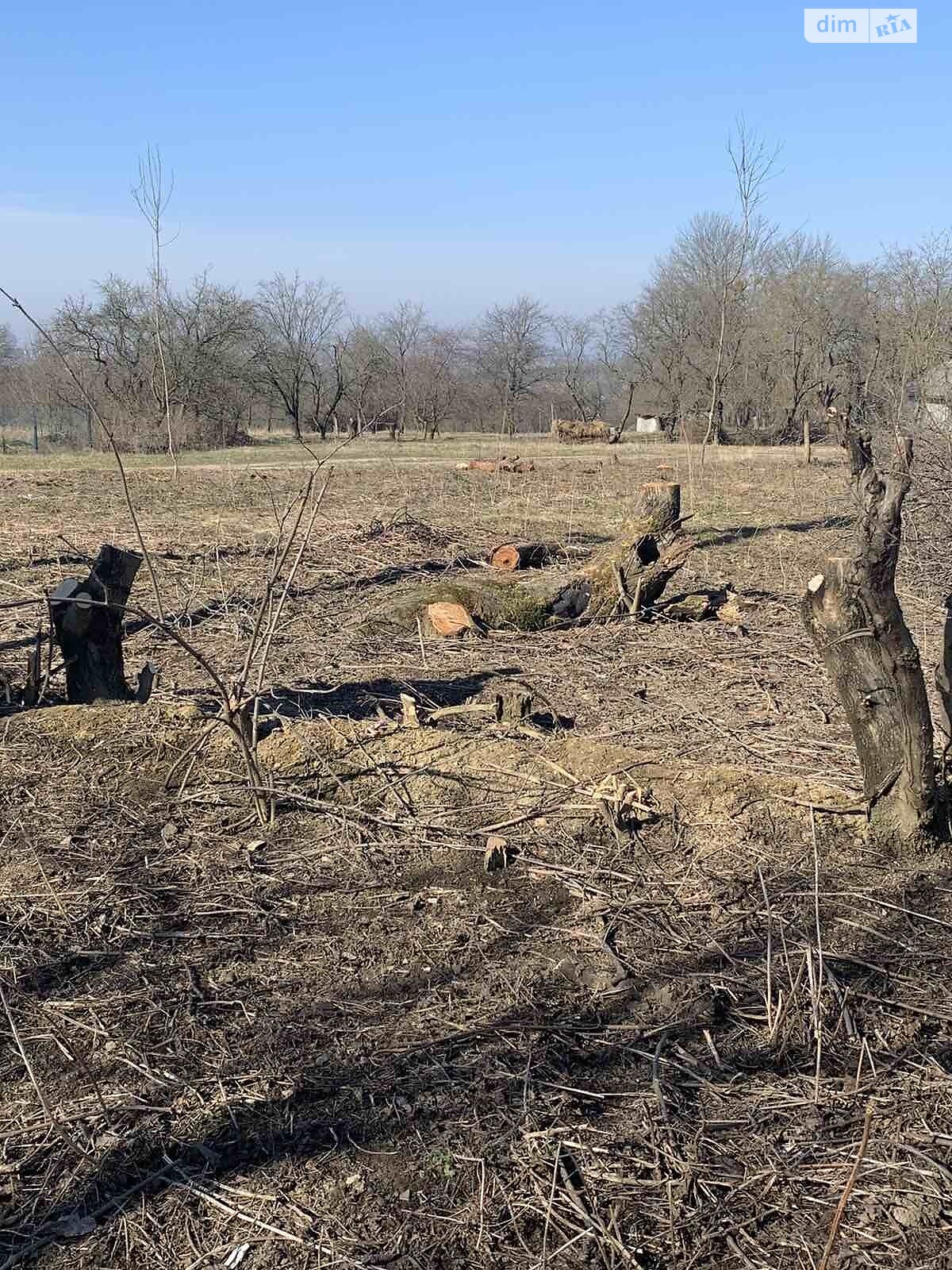 Земельна ділянка сільськогосподарського призначення в Стуфчинцях, площа 10 соток фото 1