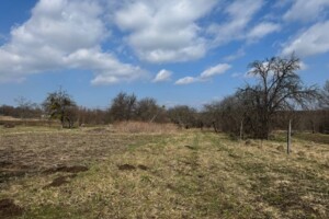 Земельна ділянка сільськогосподарського призначення в Стуфчинцях, площа 31.23 сотки фото 2