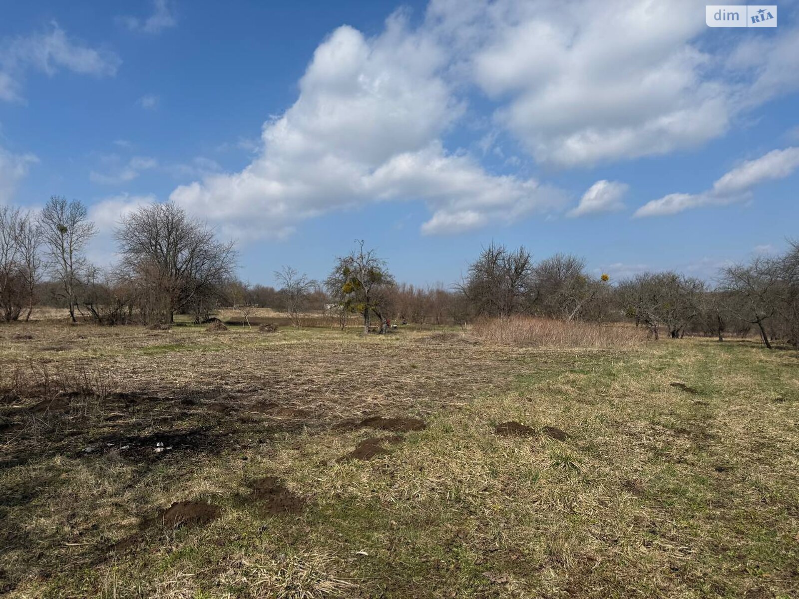 Земельна ділянка сільськогосподарського призначення в Стуфчинцях, площа 31.23 сотки фото 1 Земельна ділянка сільськогосподарського призначення в Стуфчинцях, площа 31.23 сотки фото 1