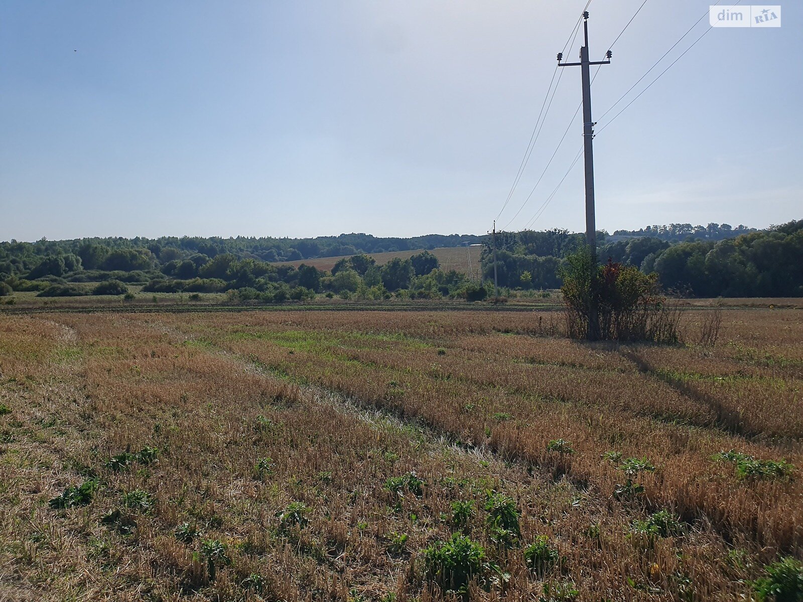 Земельный участок сельскохозяйственного назначения в Стуфчинцах, площадь 215 соток фото 1