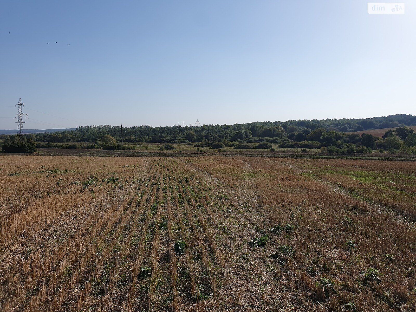 Земельный участок сельскохозяйственного назначения в Стуфчинцах, площадь 215 соток фото 1