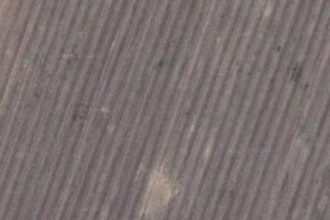 Земельный участок сельскохозяйственного назначения в Ступичном, площадь 3.9266 Га фото 1 Земельный участок сельскохозяйственного назначения в Ступичном, площадь 3.9266 Га фото 1