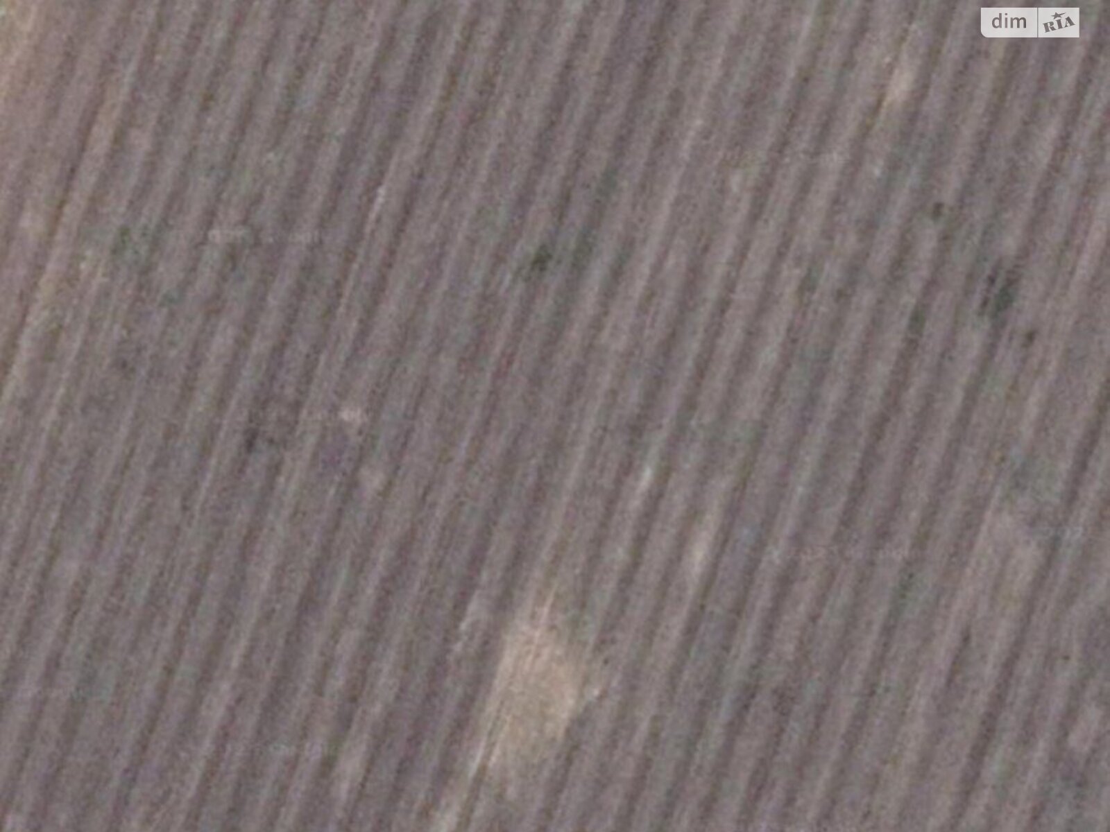 Земельный участок сельскохозяйственного назначения в Ступичном, площадь 3.9266 Га фото 1 Земельный участок сельскохозяйственного назначения в Ступичном, площадь 3.9266 Га фото 1