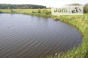 Земельный участок сельскохозяйственного назначения в Червоном, площадь 10 соток фото 1