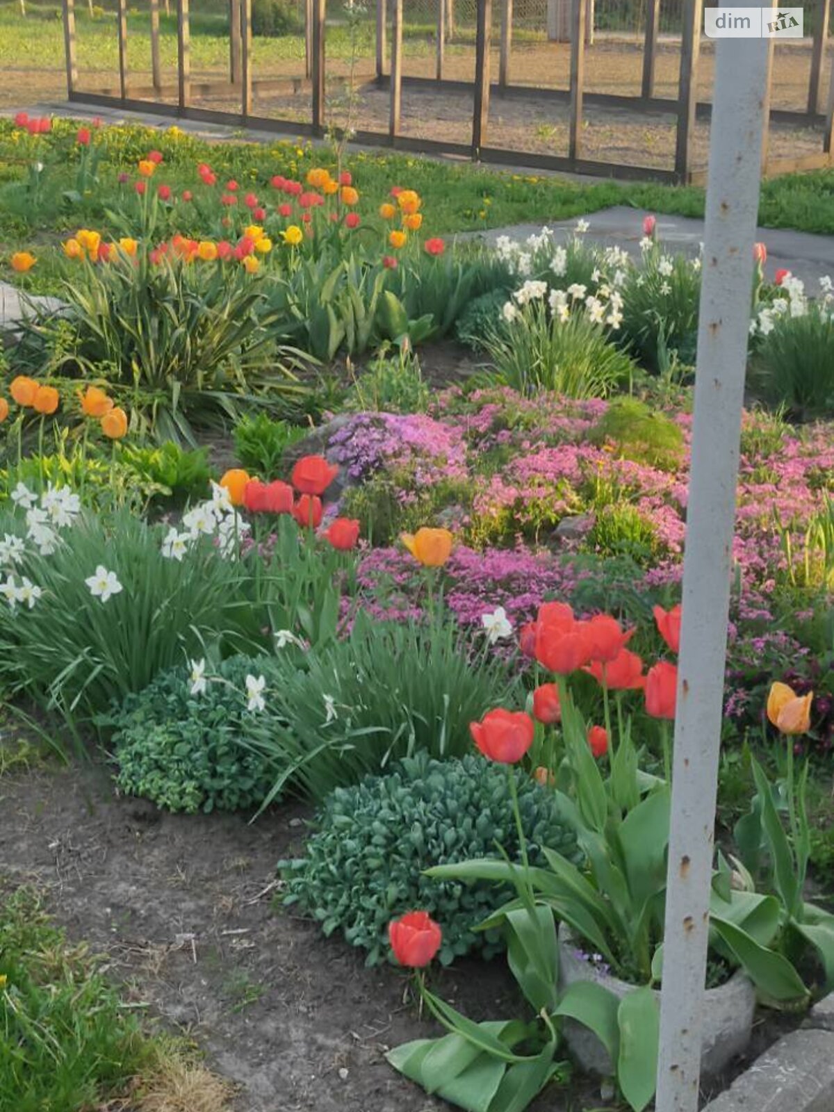 Земля сельскохозяйственного назначения в Сумах, район Лука, площадь 8 соток фото 1