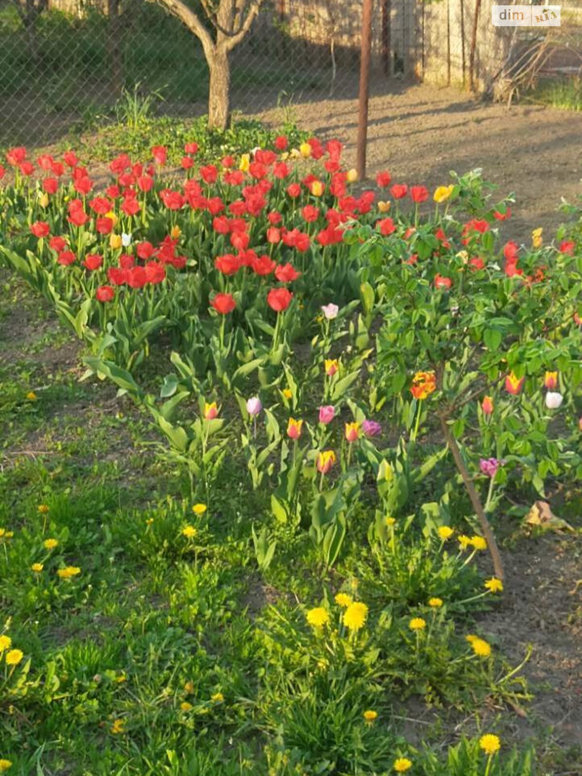 Земля сельскохозяйственного назначения в Сумах, район Лука, площадь 8 соток фото 1