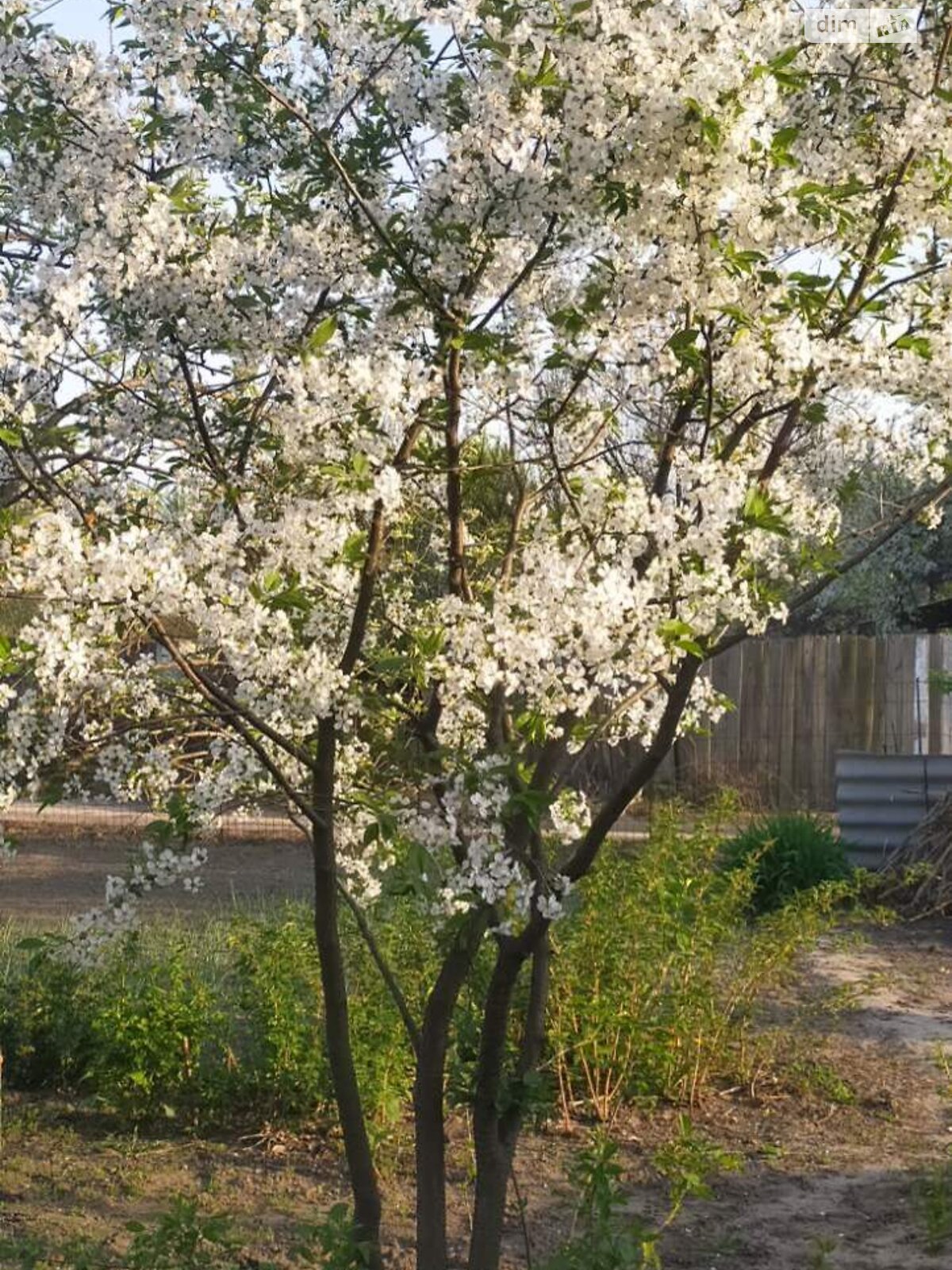 Земля сельскохозяйственного назначения в Сумах, район Лука, площадь 8 соток фото 1