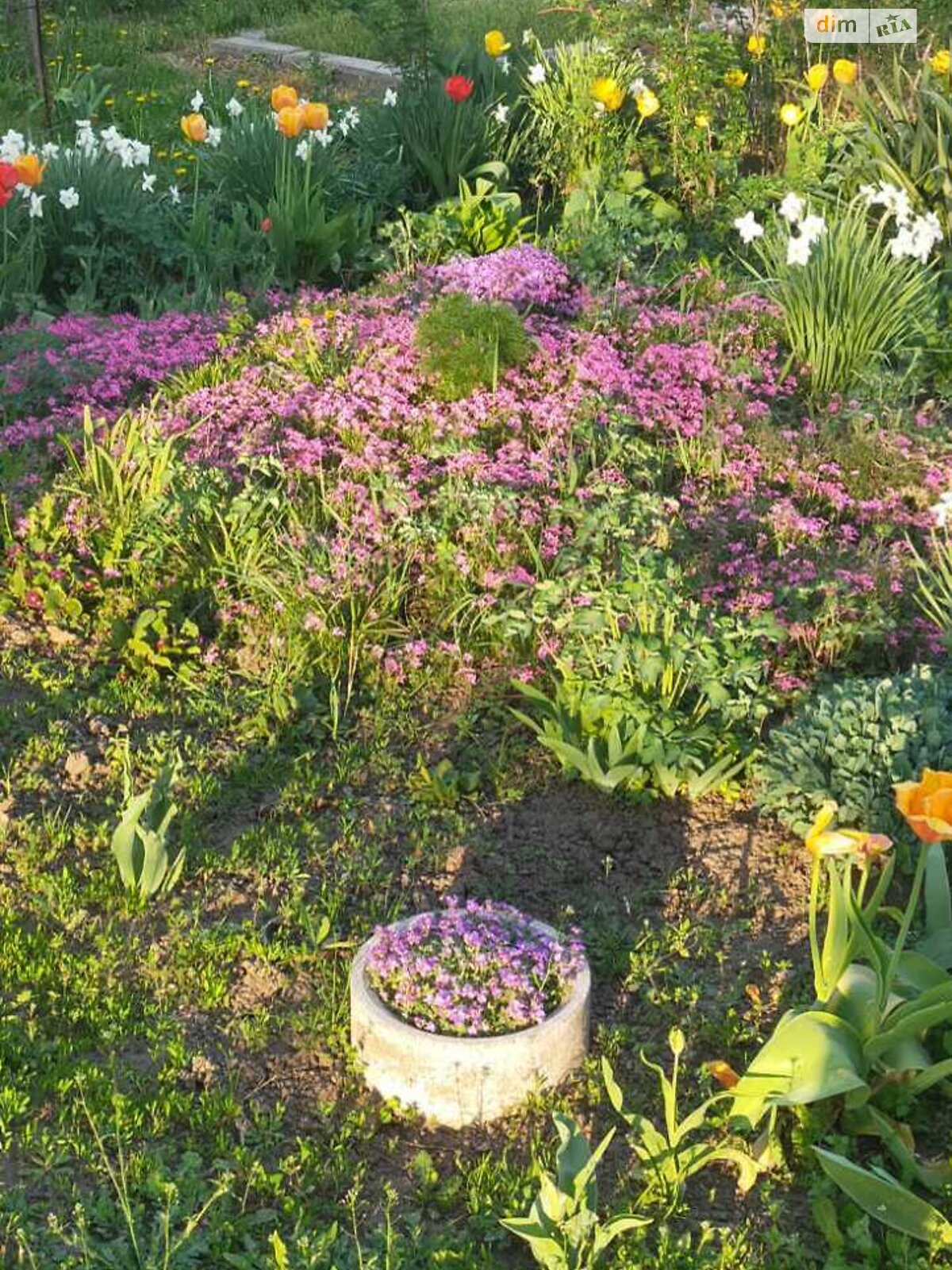 Земля сельскохозяйственного назначения в Сумах, район Лука, площадь 8 соток фото 1