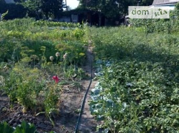 Земельна ділянка сільськогосподарського призначення в Сумах, площа 5 соток фото 1 Земельна ділянка сільськогосподарського призначення в Сумах, площа 5 соток фото 1