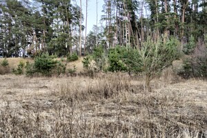 Земля сельскохозяйственного назначения в Сумах, район Барановка, площадь 20 соток фото 2