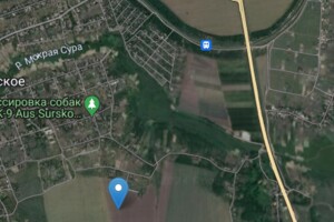 Земельна ділянка сільськогосподарського призначення в Сурсько-Литовському, площа 8 Га фото 1