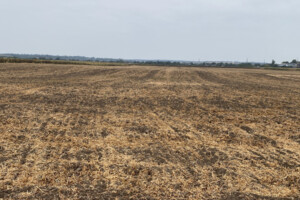 Земельный участок сельскохозяйственного назначения в Сутисках, площадь 4.1772 Га фото 2