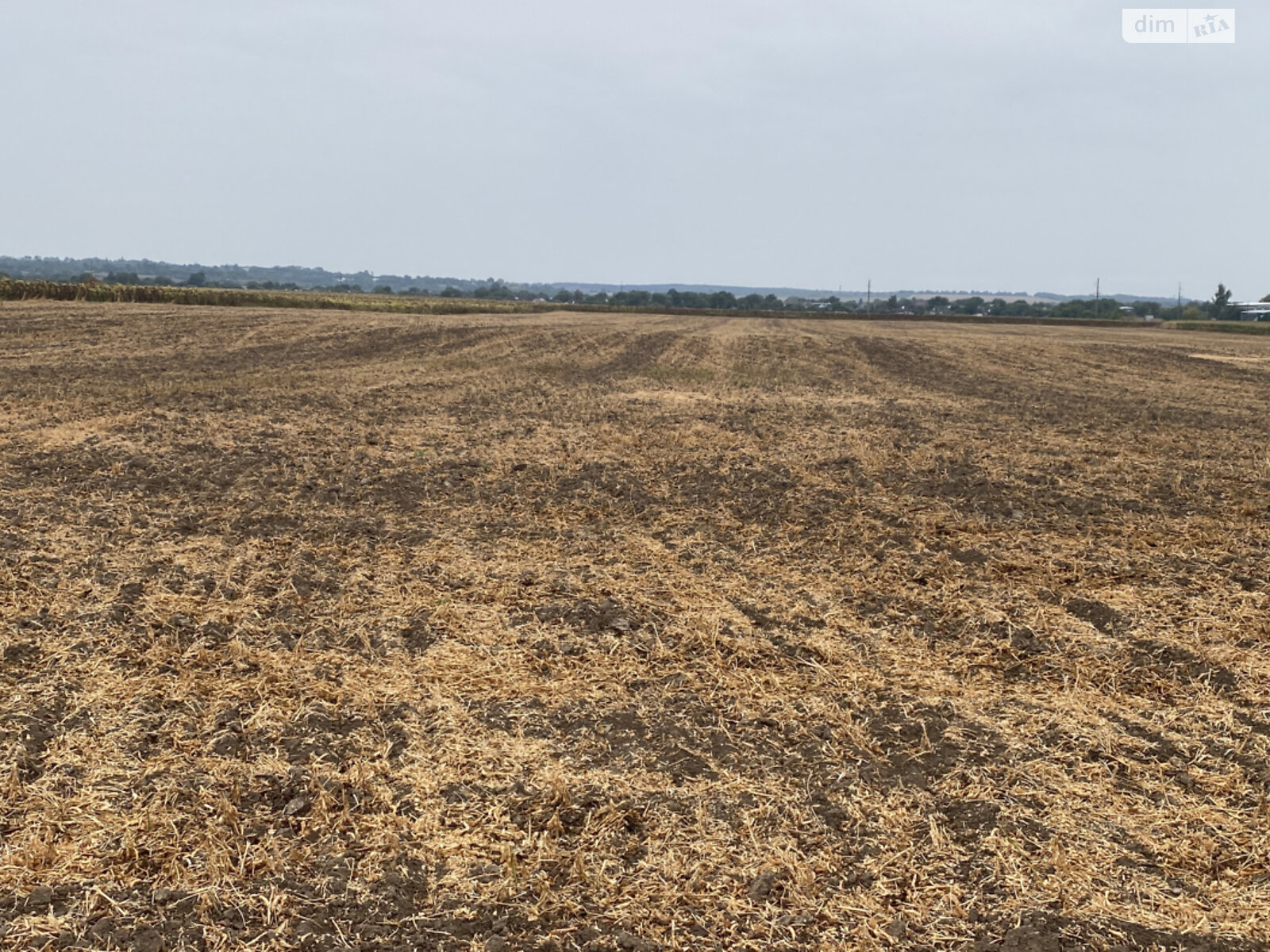 Земельный участок сельскохозяйственного назначения в Сутисках, площадь 4.1772 Га фото 1