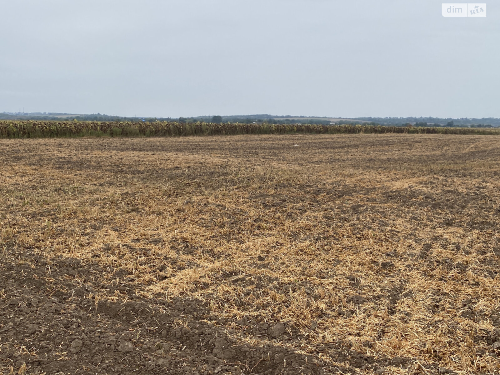 Земельный участок сельскохозяйственного назначения в Сутисках, площадь 4.1772 Га фото 1