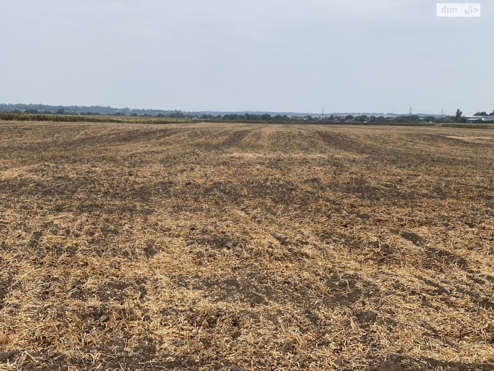 Земельный участок сельскохозяйственного назначения в Сутисках, площадь 4.1772 Га фото 1