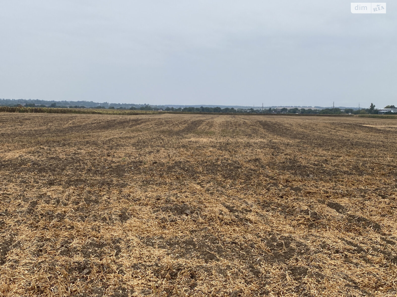 Земельный участок сельскохозяйственного назначения в Сутисках, площадь 4.1772 Га фото 1