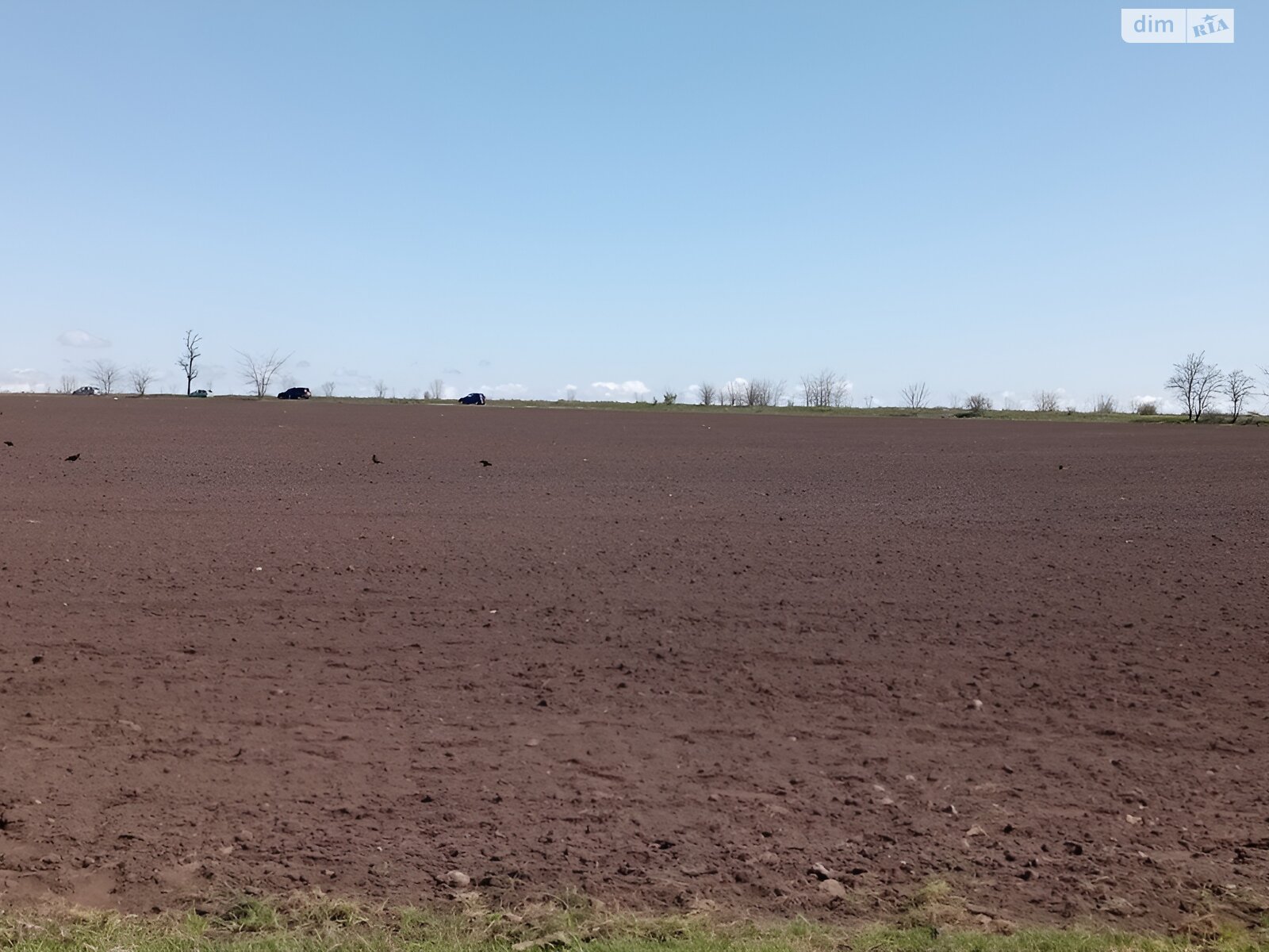 Земельна ділянка сільськогосподарського призначення в Світле, площа 651 сотка фото 1 Земельна ділянка сільськогосподарського призначення в Світле, площа 651 сотка фото 1