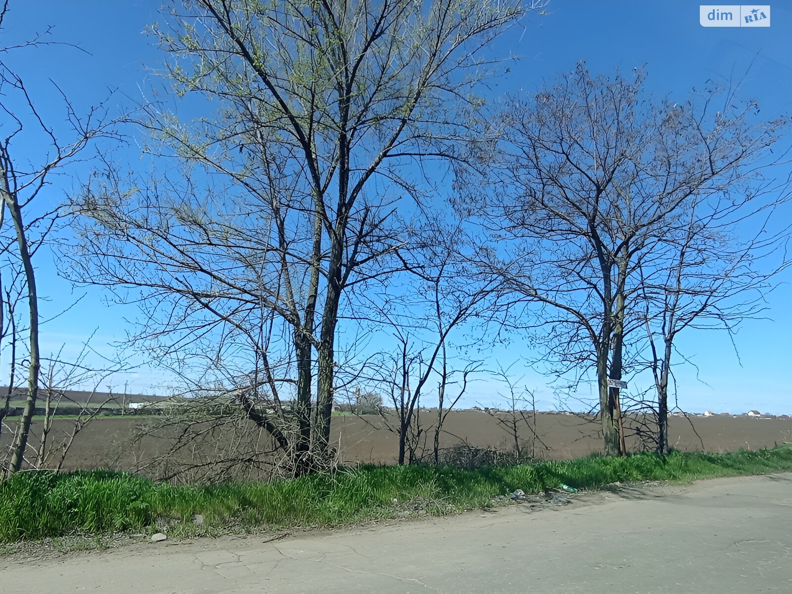 Земельна ділянка сільськогосподарського призначення в Світле, площа 651 сотка фото 1 Земельна ділянка сільськогосподарського призначення в Світле, площа 651 сотка фото 1