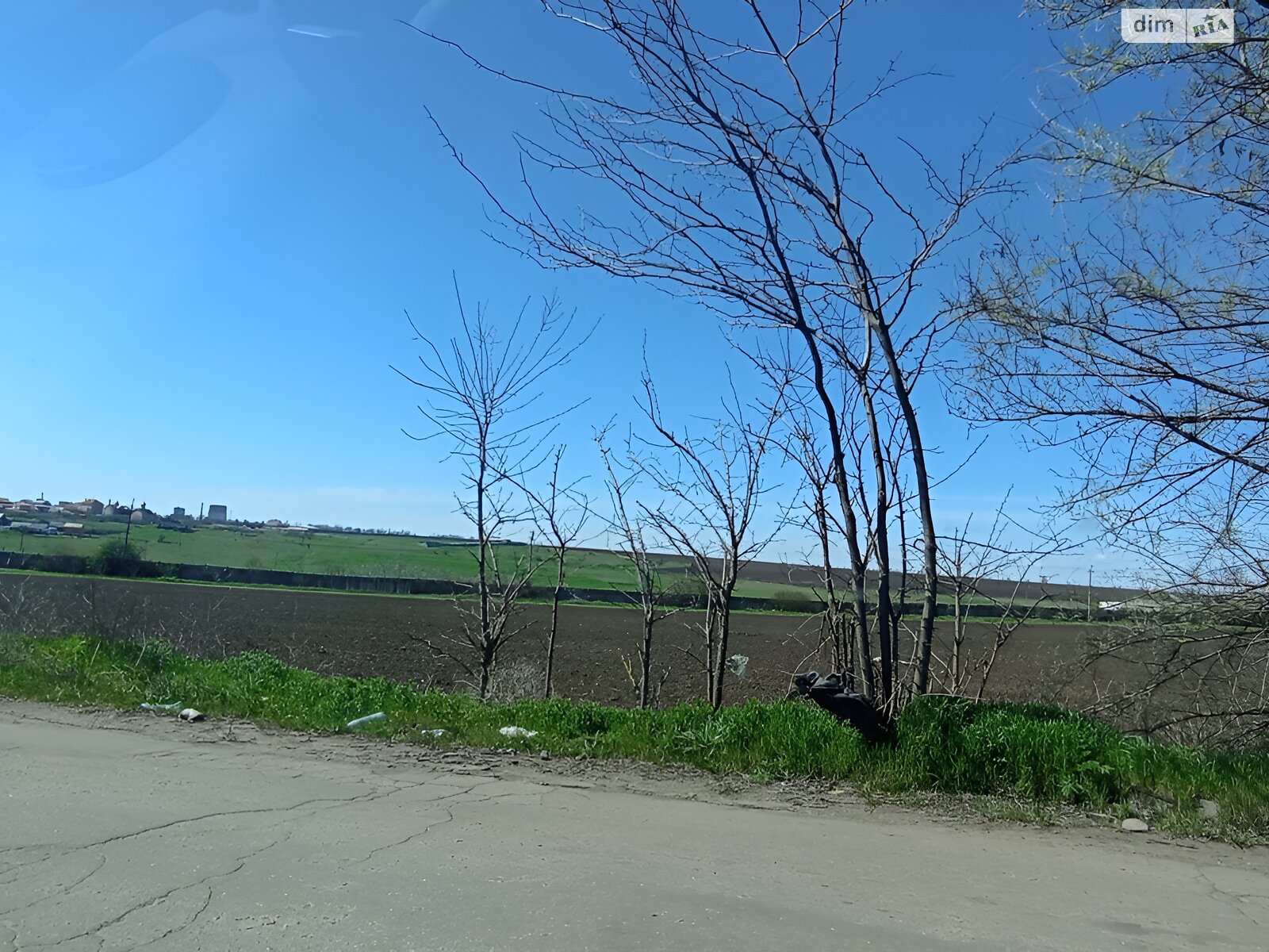 Земельна ділянка сільськогосподарського призначення в Світле, площа 651 сотка фото 1 Земельна ділянка сільськогосподарського призначення в Світле, площа 651 сотка фото 1