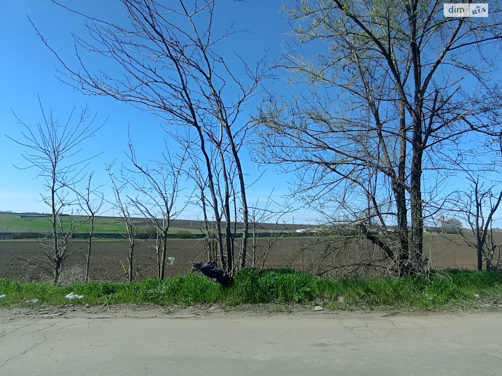 Земельна ділянка сільськогосподарського призначення в Світле, площа 651 сотка фото 1 Земельна ділянка сільськогосподарського призначення в Світле, площа 651 сотка фото 1