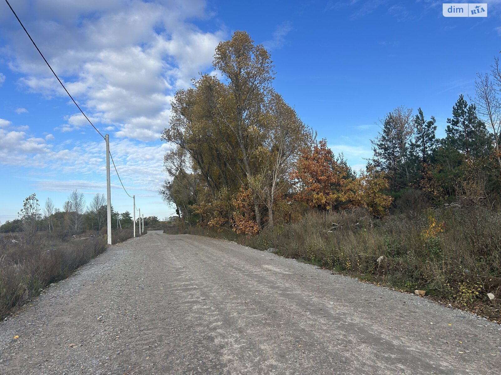 Земельна ділянка сільськогосподарського призначення в Святопетрівське, площа 99.79 сотки фото 1