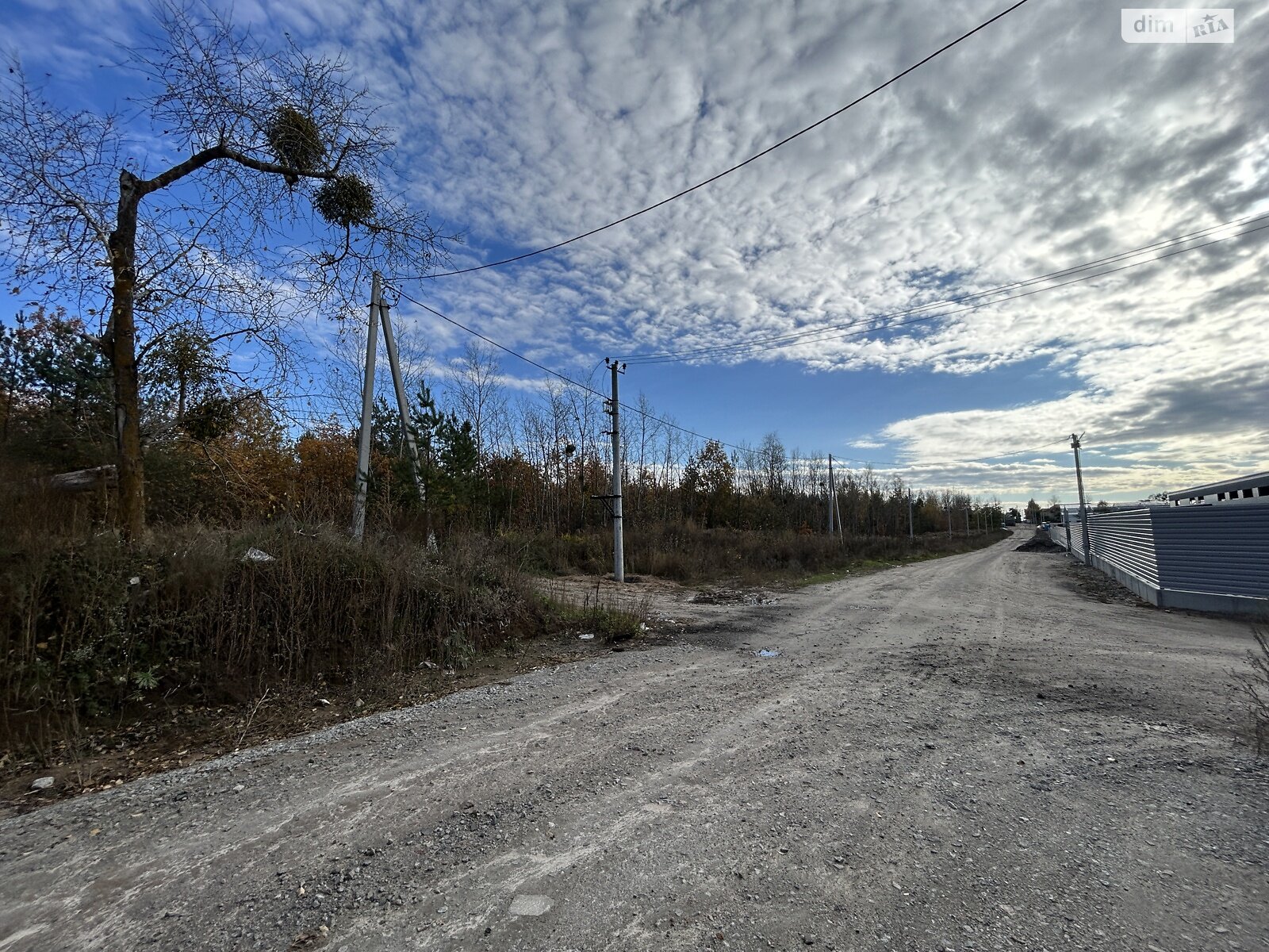 Земельна ділянка сільськогосподарського призначення в Святопетрівське, площа 99.79 сотки фото 1