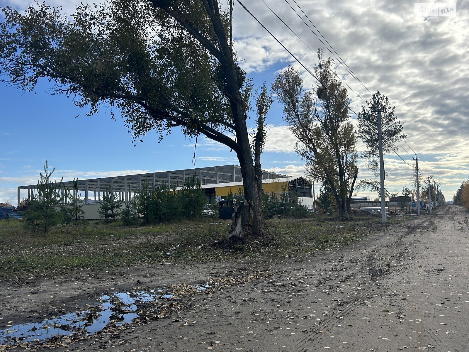 Земельный участок сельскохозяйственного назначения в Святопетровское, площадь 99.81 сотки фото 1 Земельный участок сельскохозяйственного назначения в Святопетровское, площадь 99.81 сотки фото 1