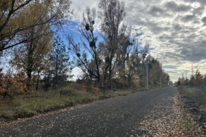 Земельный участок сельскохозяйственного назначения в Святопетровское, площадь 99.81 сотки фото 2 Земельный участок сельскохозяйственного назначения в Святопетровское, площадь 99.81 сотки фото 2