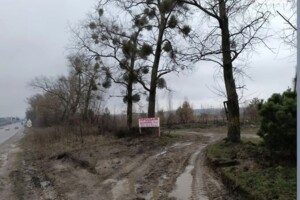 Земельный участок сельскохозяйственного назначения в Святопетровское, площадь 2 Га фото 1