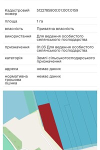 Земельный участок сельскохозяйственного назначения в Сычавке, площадь 100 соток фото 2