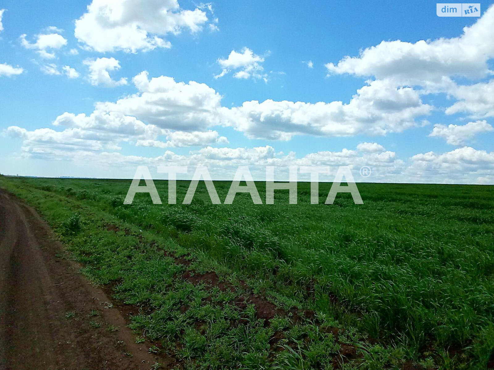 Земельный участок сельскохозяйственного назначения в Таирово, площадь 144 сотки фото 1