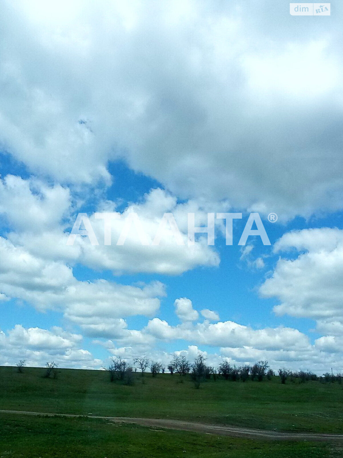Земельный участок сельскохозяйственного назначения в Таирово, площадь 144 сотки фото 1
