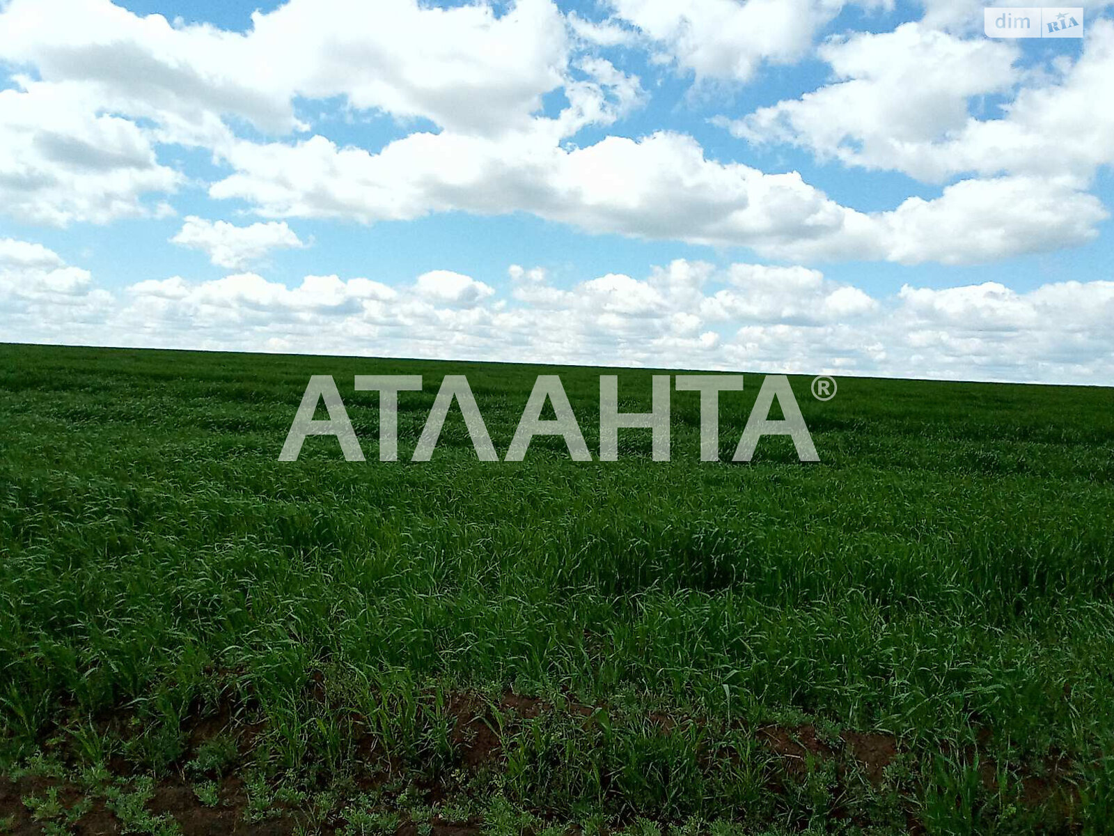 Земельный участок сельскохозяйственного назначения в Таирово, площадь 144 сотки фото 1