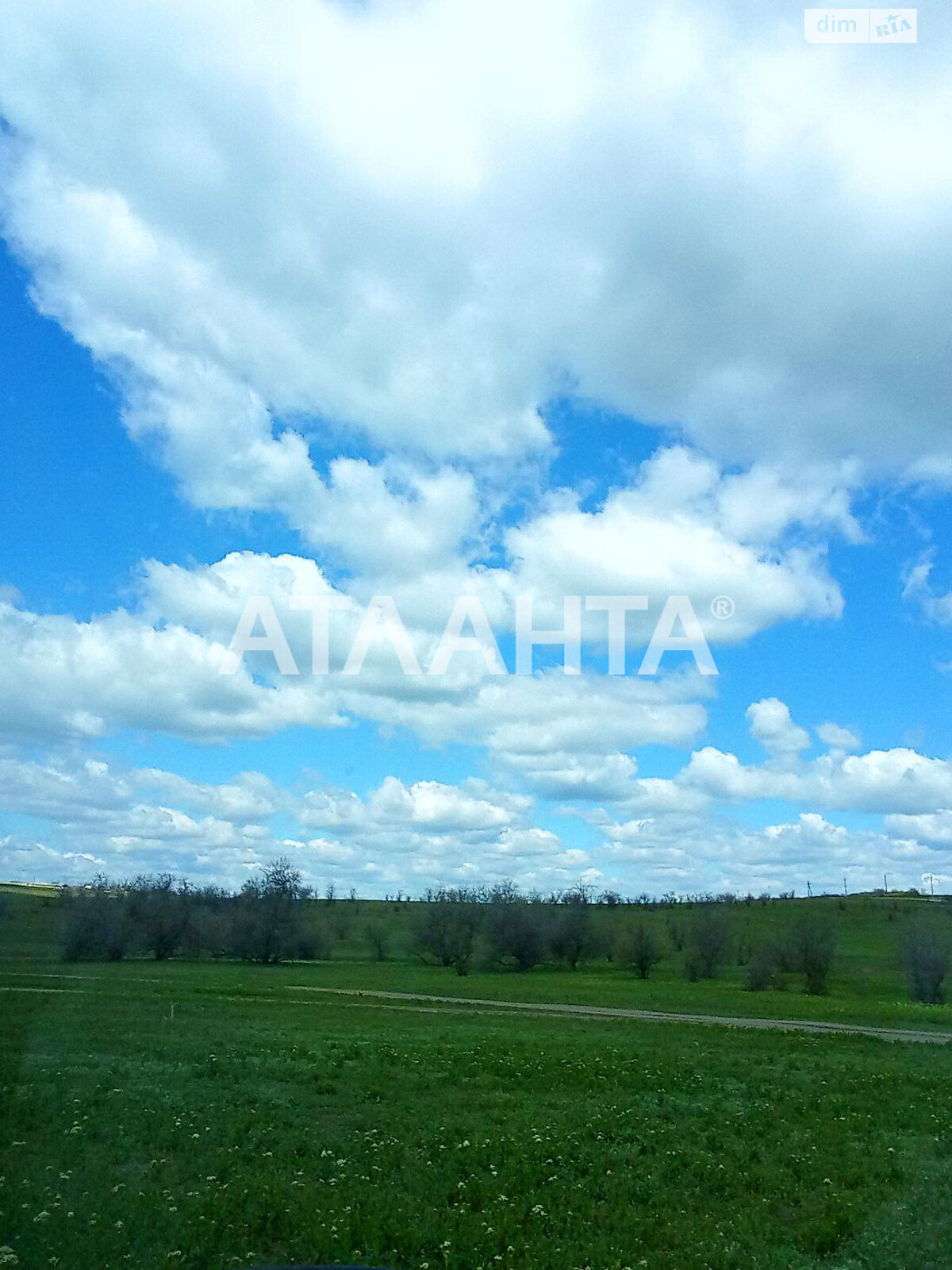 Земельный участок сельскохозяйственного назначения в Таирово, площадь 144 сотки фото 1