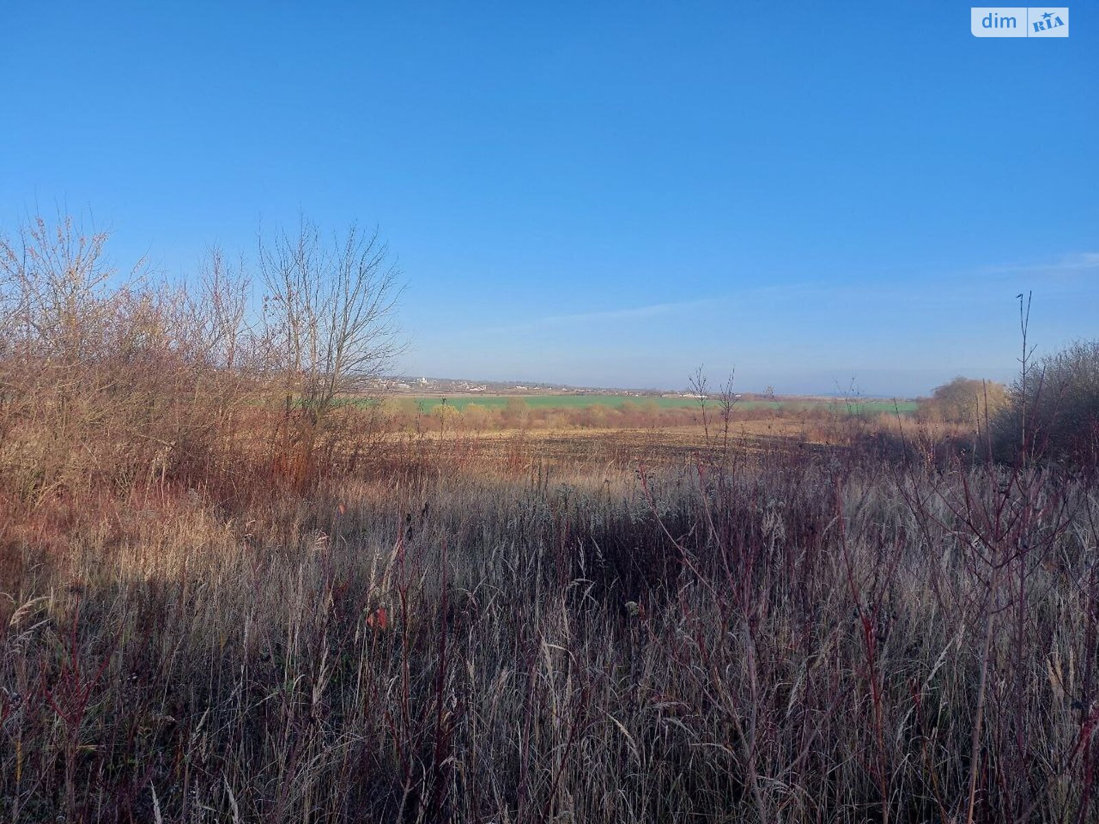 Земельный участок сельскохозяйственного назначения в Тарасовке, площадь 1.8 Га фото 1 Земельный участок сельскохозяйственного назначения в Тарасовке, площадь 1.8 Га фото 1