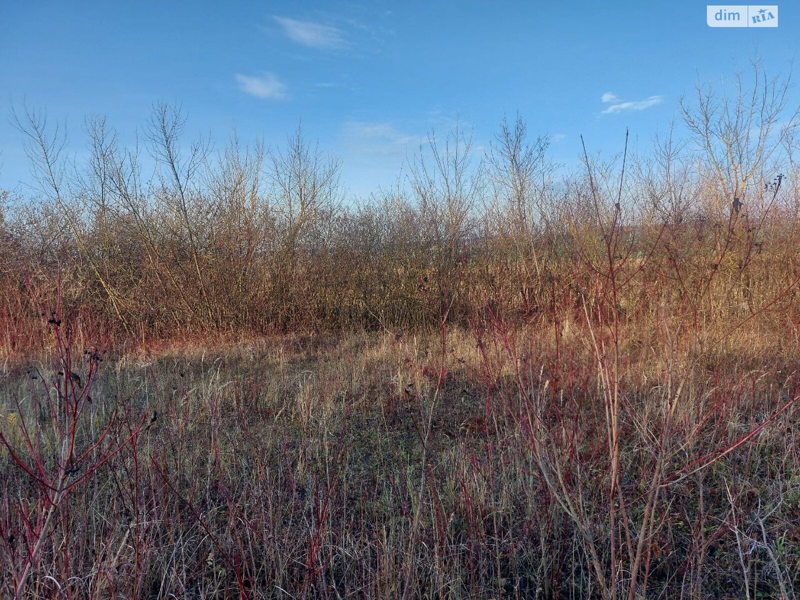 Земельный участок сельскохозяйственного назначения в Тарасовке, площадь 1.8 Га фото 1 Земельный участок сельскохозяйственного назначения в Тарасовке, площадь 1.8 Га фото 1