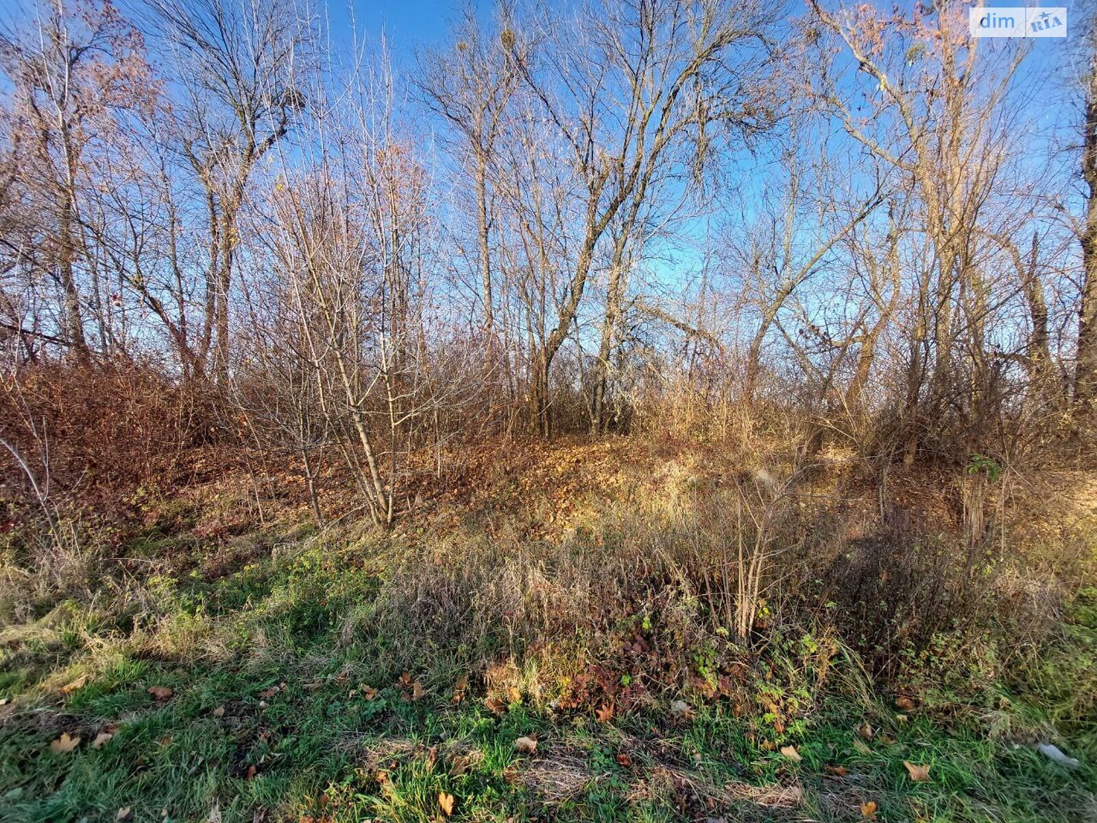 Земельный участок сельскохозяйственного назначения в Тарасовке, площадь 1.8 Га фото 1 Земельный участок сельскохозяйственного назначения в Тарасовке, площадь 1.8 Га фото 1