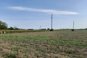 Земельна ділянка сільськогосподарського призначення в Тарнівцях, площа 159 соток фото 2
