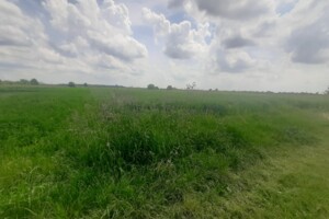Земельна ділянка сільськогосподарського призначення в Тарнівцях, площа 10 соток фото 2