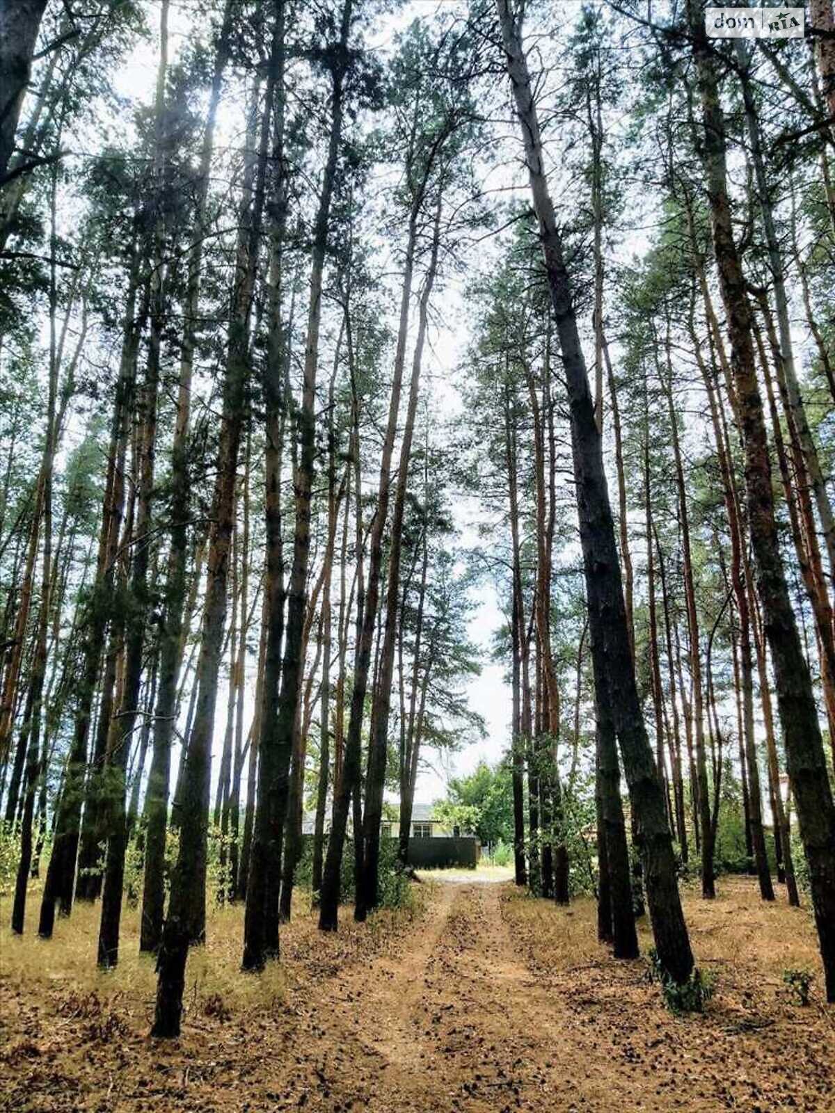 Земельна ділянка сільськогосподарського призначення в Терентіївці, площа 10 соток фото 1