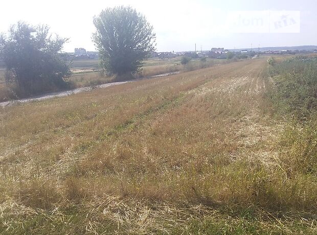 Земля сельскохозяйственного назначения в селе Березовица, площадь 20 соток фото 1 Земля сельскохозяйственного назначения в селе Березовица, площадь 20 соток фото 1