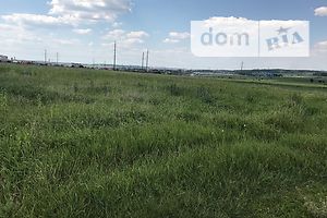 Земельна ділянка сільськогосподарського призначення в Березовиці, площа 9 соток фото 2