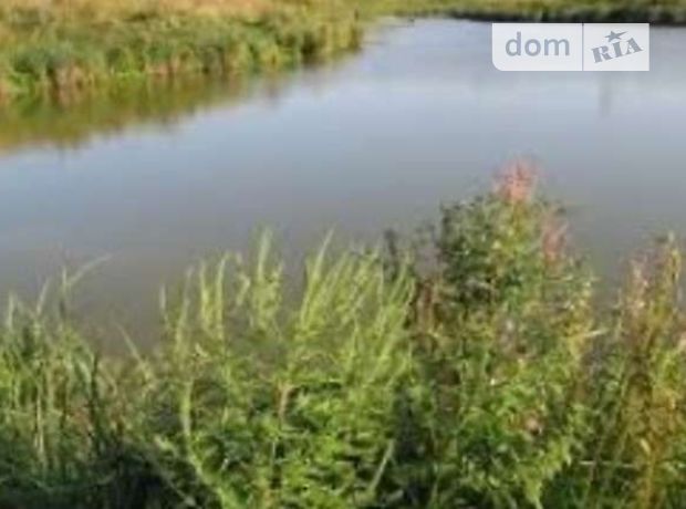 Земля сельскохозяйственного назначения в селе Довжанка, площадь 1.3 Га фото 1 Земля сельскохозяйственного назначения в селе Довжанка, площадь 1.3 Га фото 1