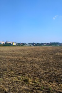 Земельна ділянка сільськогосподарського призначення в Підгородне, площа 240 соток фото 2