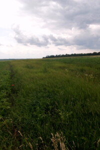 Земля сельскохозяйственного назначения в Тернополе, район Гаи, площадь 10 соток фото 2
