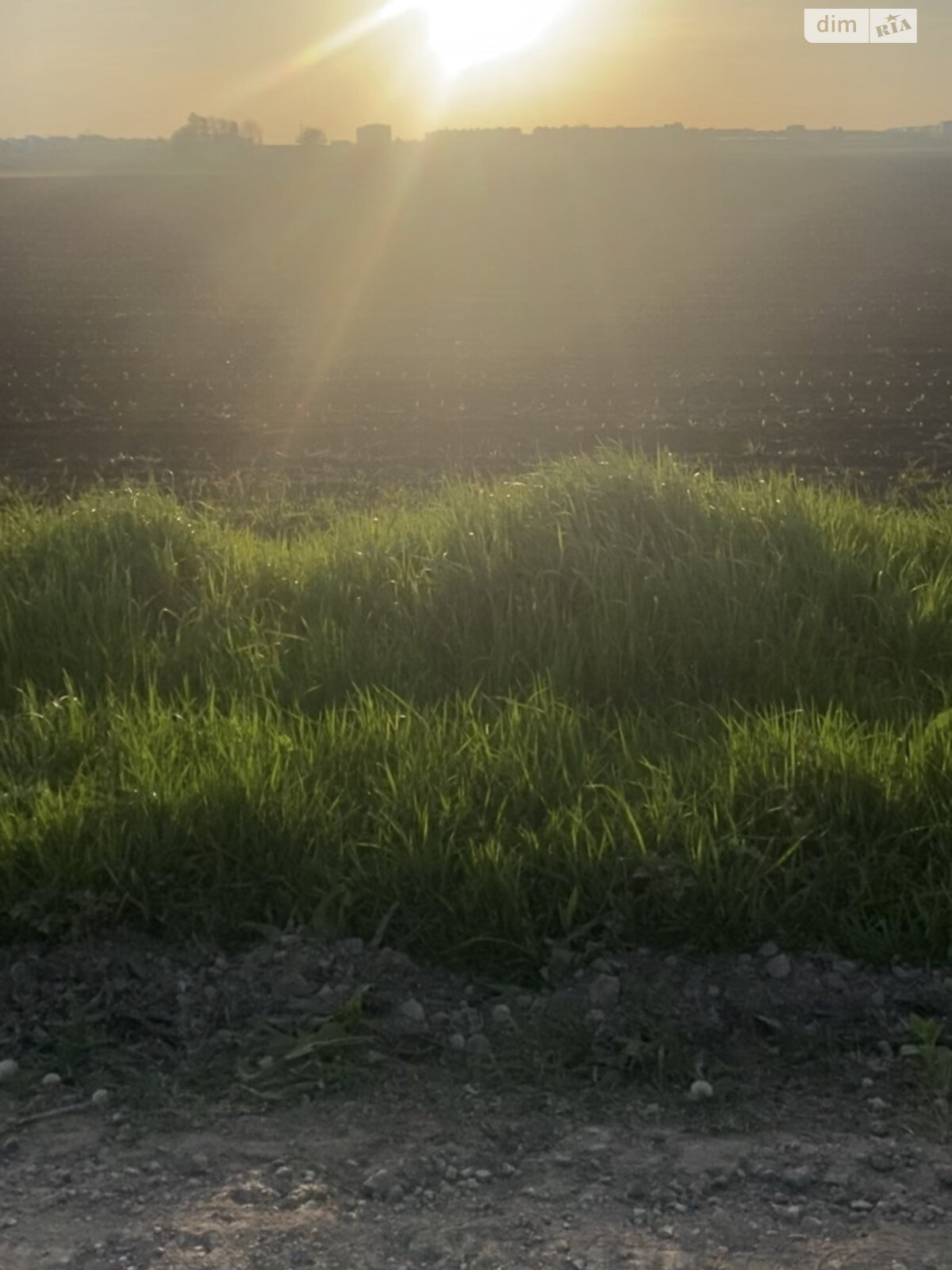 Земля сельскохозяйственного назначения в Тернополе, район Гаи, площадь 155 соток фото 1