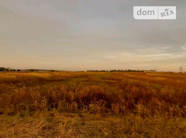 Земля сельскохозяйственного назначения в селе Подгородное, площадь 25 соток фото 1 Земля сельскохозяйственного назначения в селе Подгородное, площадь 25 соток фото 1